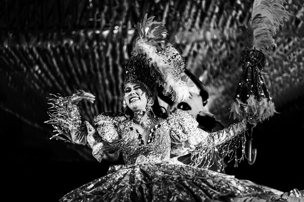 SINHAZINHA E SEU BOI