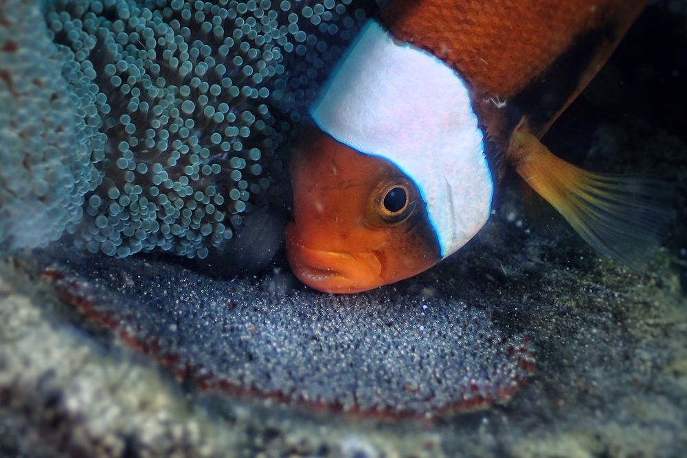 Photograph by Penn De Los Santos