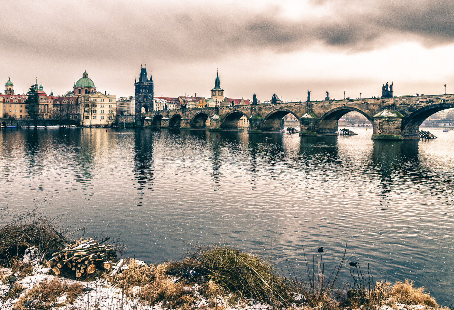 Photo #13331375