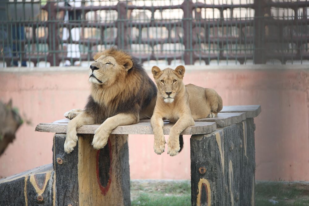 Photograph by Shahzad Ali