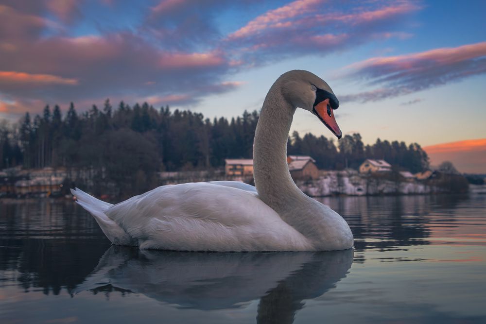 Photograph by Gregor Kobilica