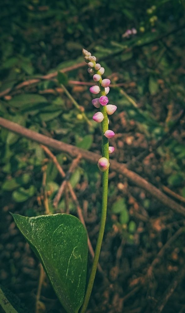 Photograph by Moin Mohammad