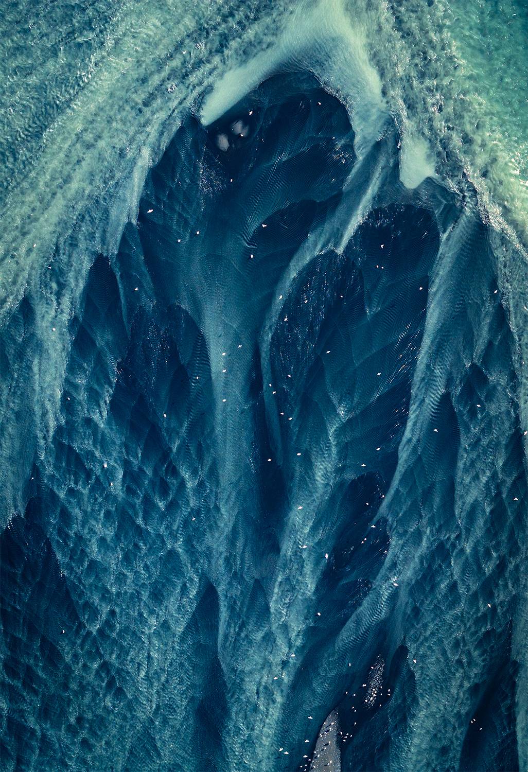 Wings Over glacial veins