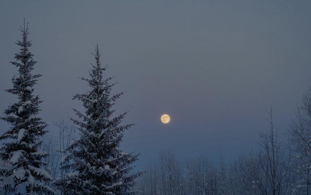 Photograph by Vladislav Trushkov