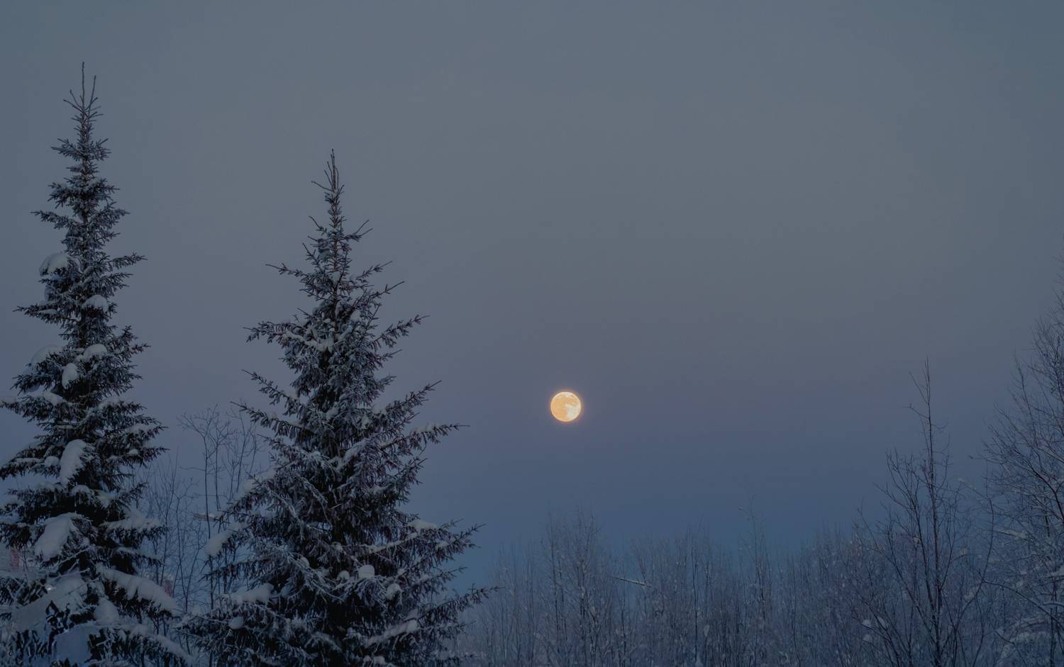 Photo #13331749