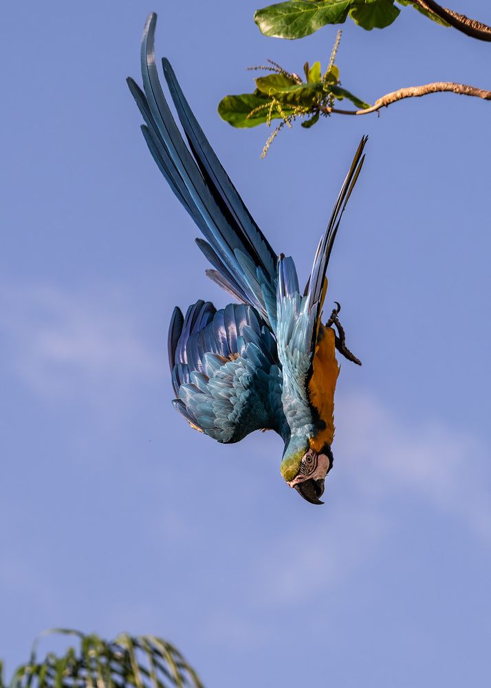 Photograph by Rose-Anne Reyes