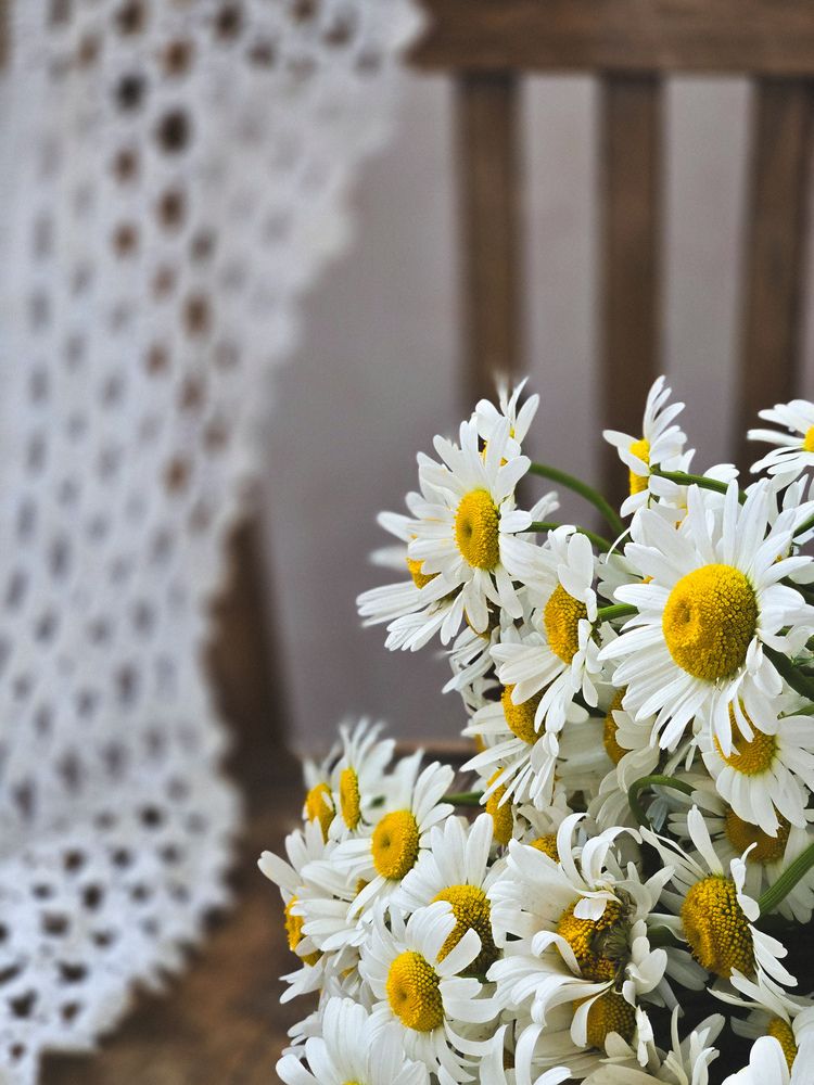 Photograph by Ольга Дёмина