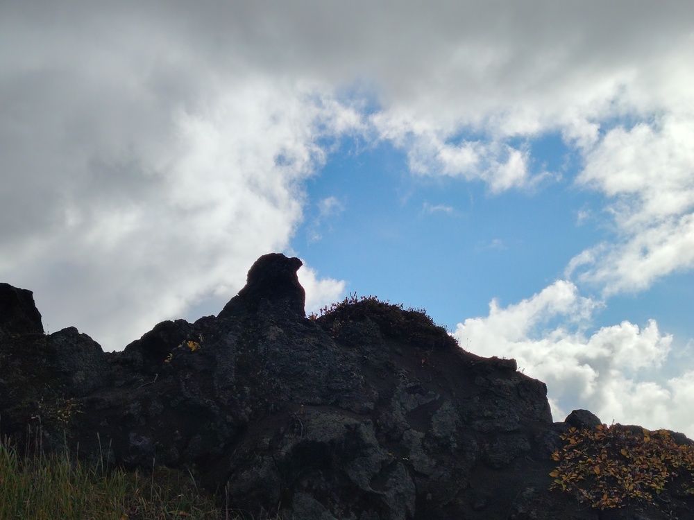 Photograph by Я есть Грут