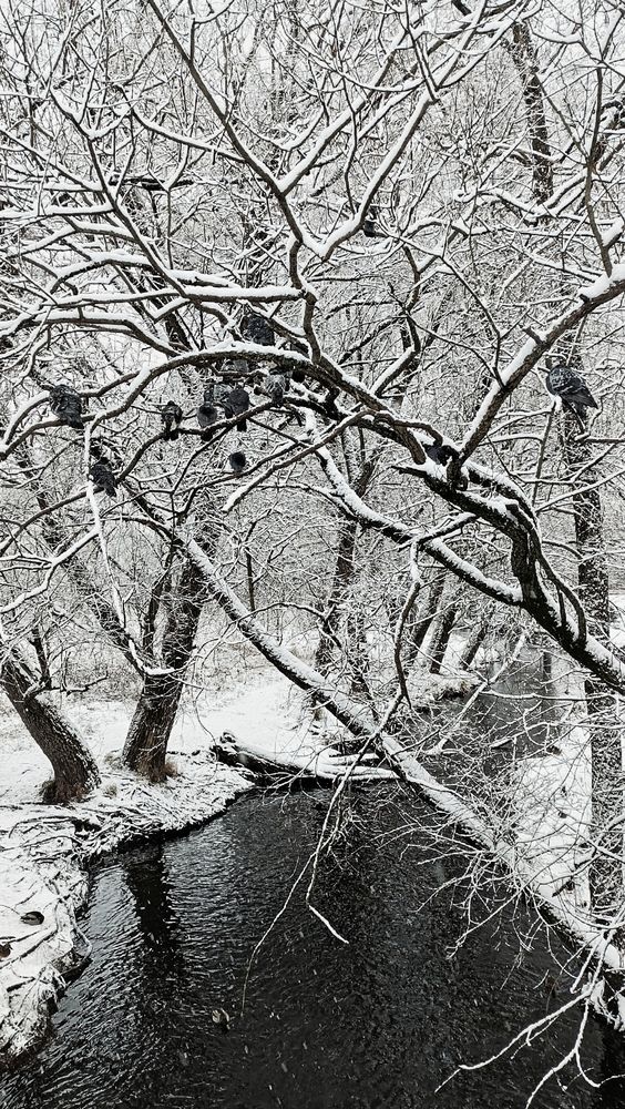 Photograph by Анна Захарчук