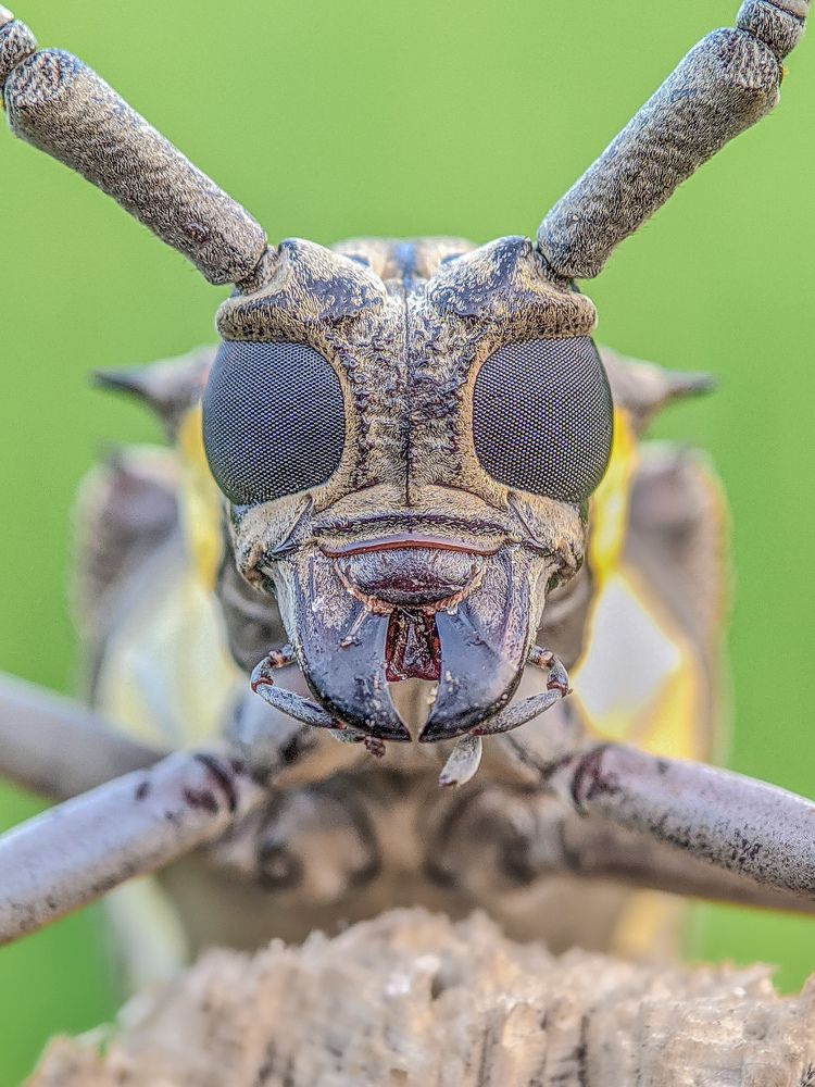 Photograph by Akash Pani