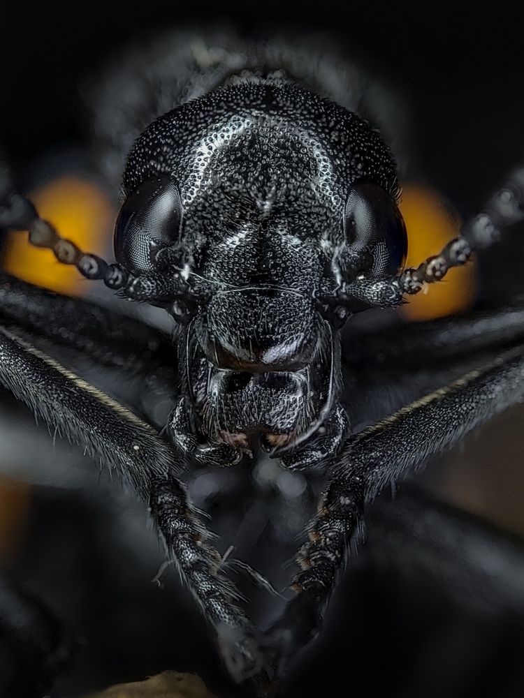 Photograph by Akash Pani