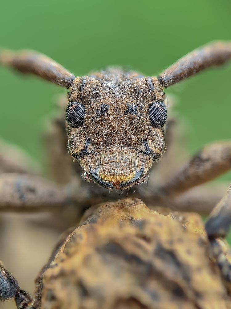 Photograph by Akash Pani