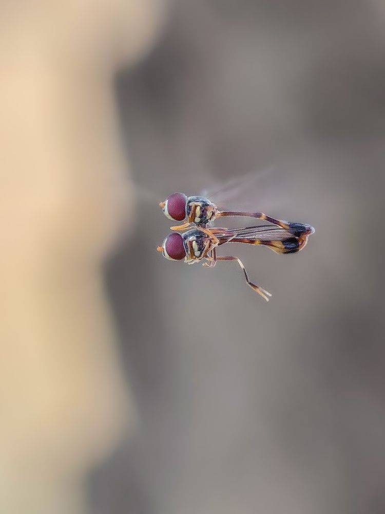 Photograph by Akash Pani