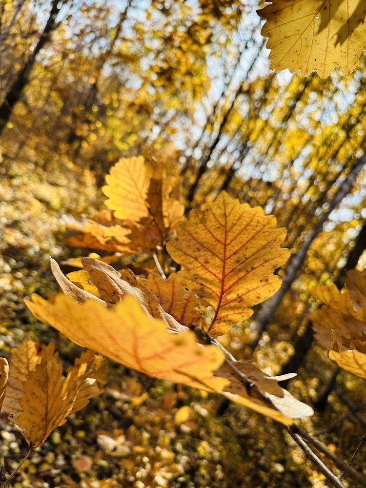 Photograph by Андрей Третьяков