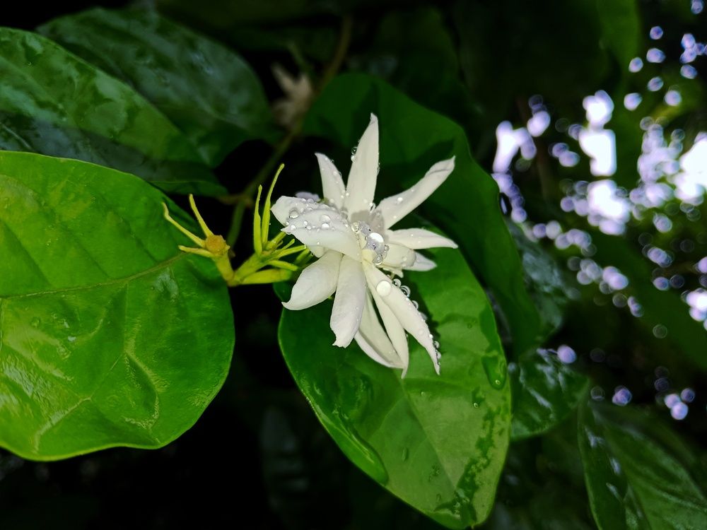 Photograph by Jay Sonkamble