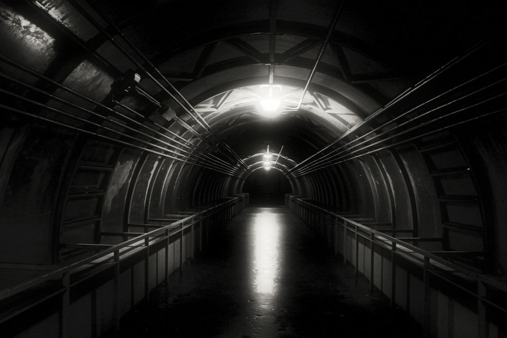 Фотография автора Светлана Дорофеева