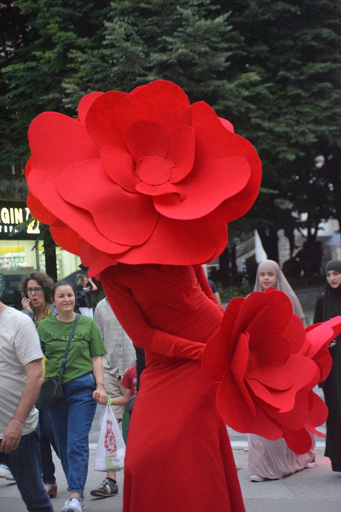 Red rose on the street