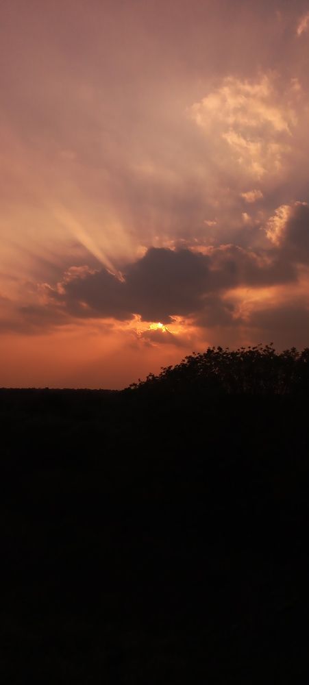 Photo #13332124