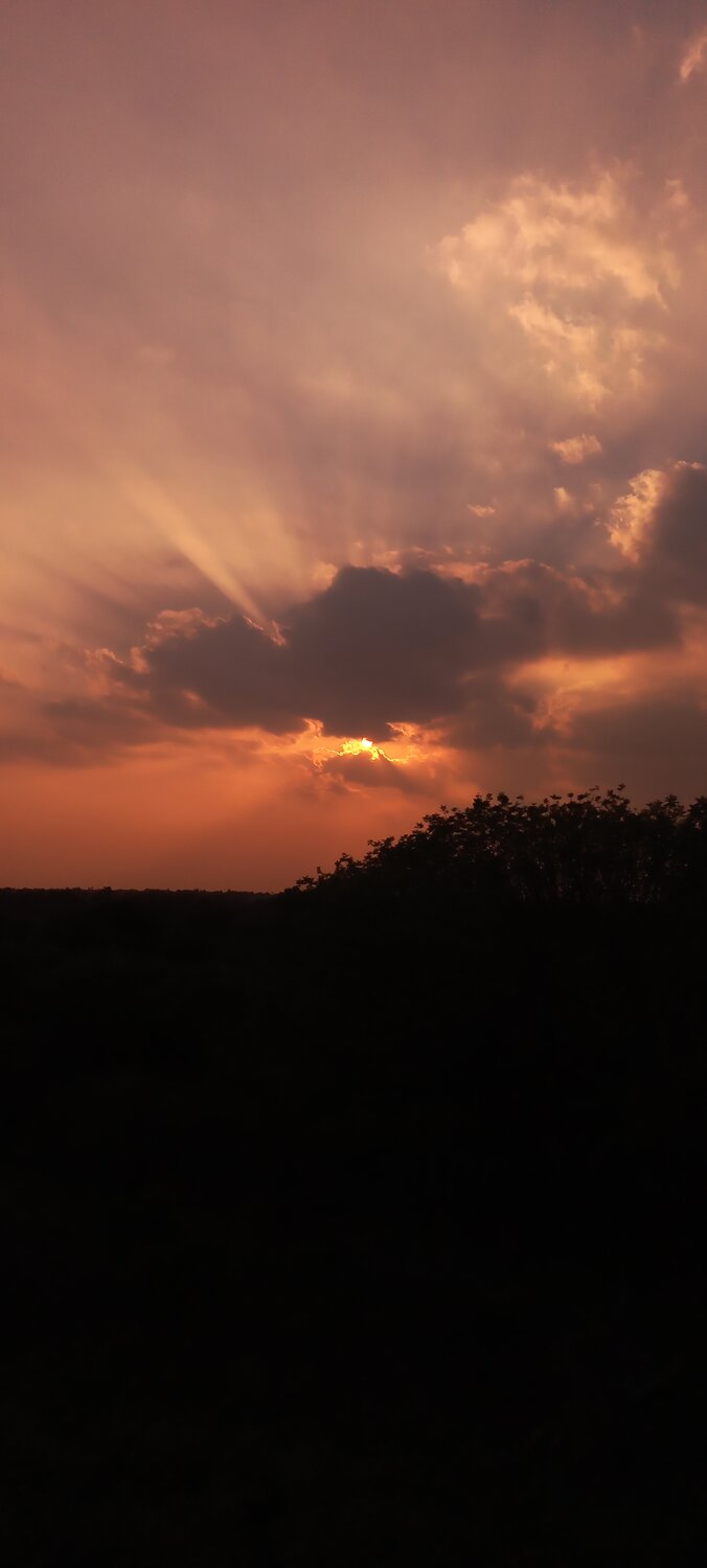 Photo #13332124
