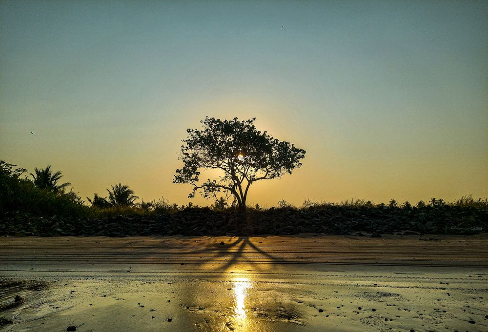 Photograph by Vedant Dhangar