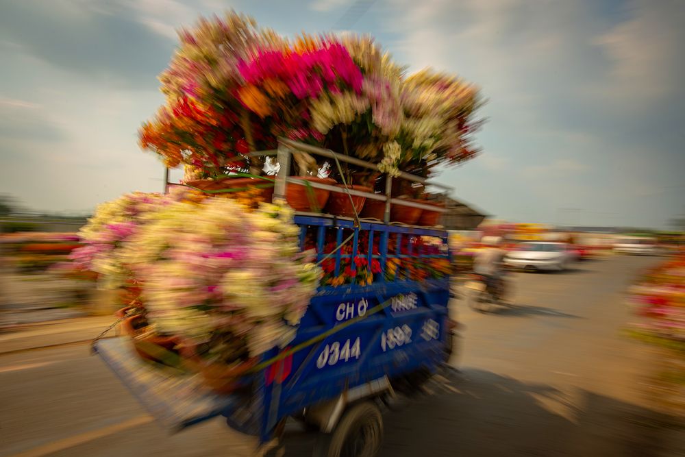 Photograph by Toan Nguyen Thuong