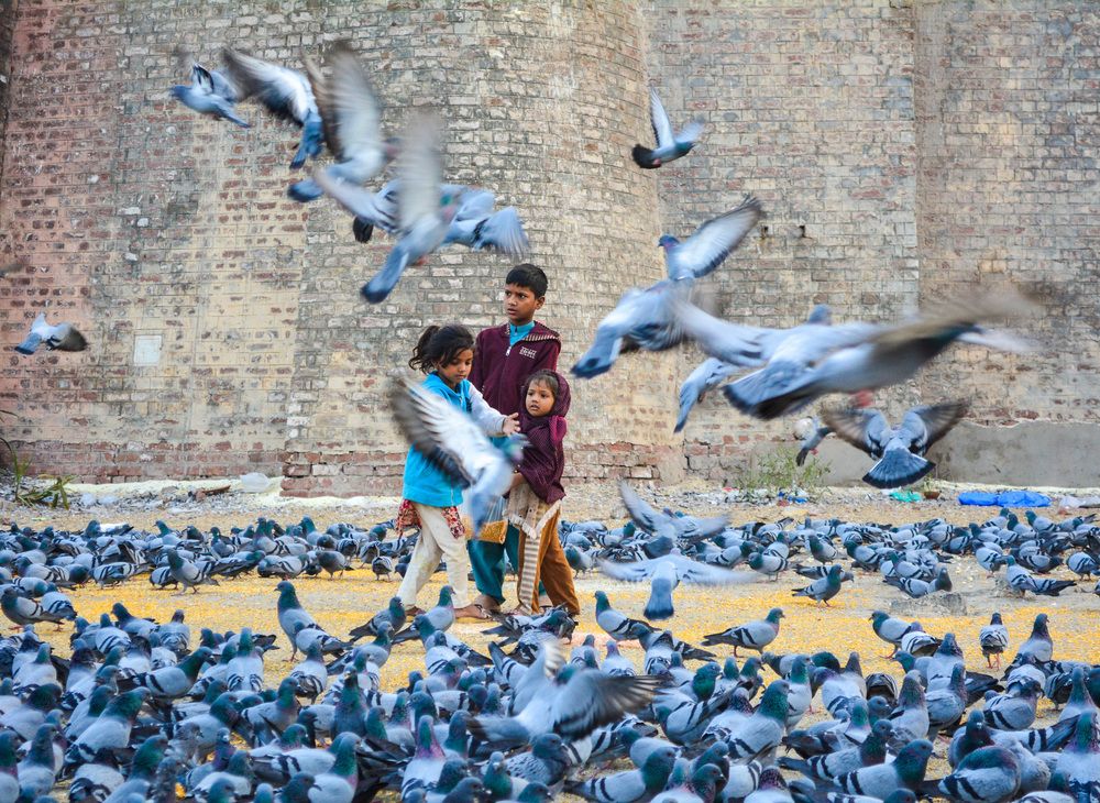 Photograph by Bilal Ahmad Khaki