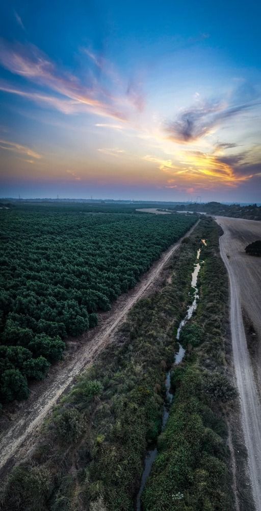 Photograph by omar kanani