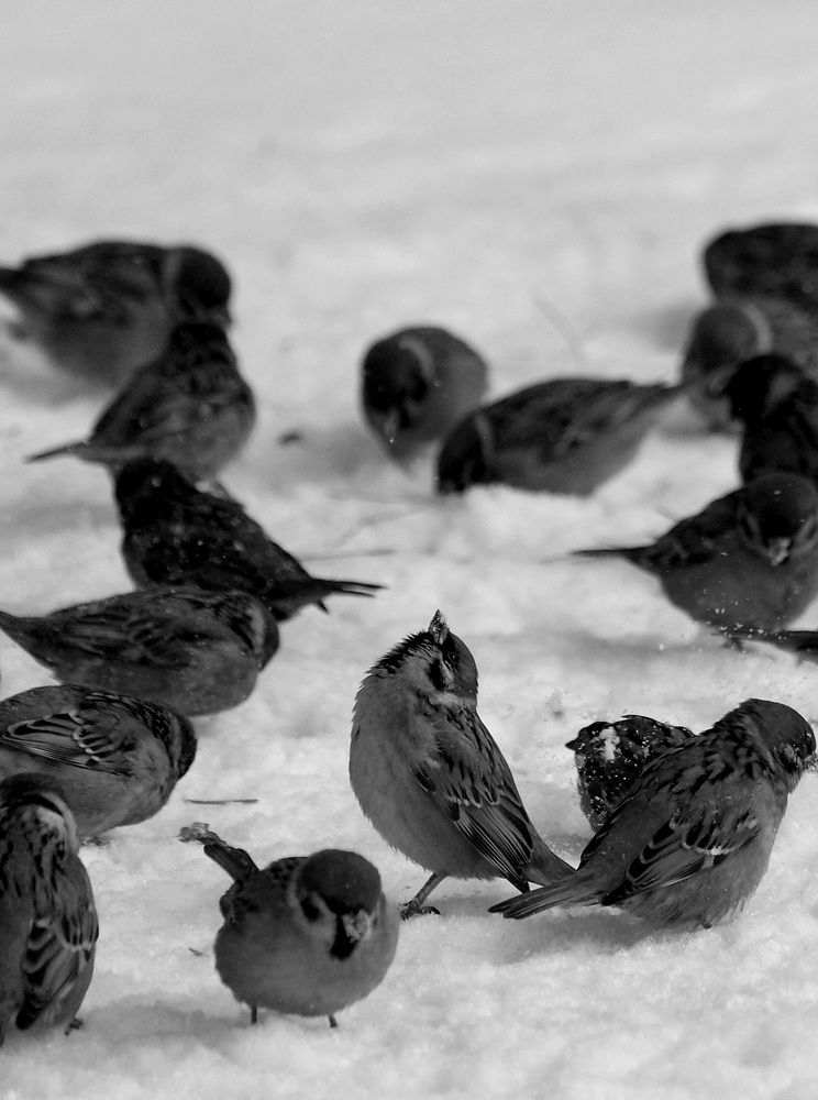 Photograph by Яна Истоцкая