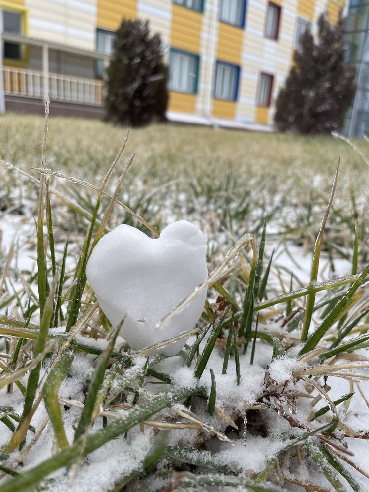 Подарок от дочи