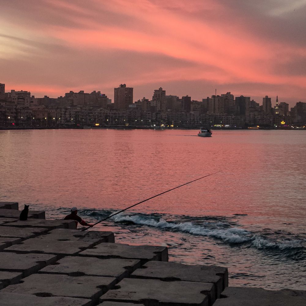 Photograph by Sara Attia