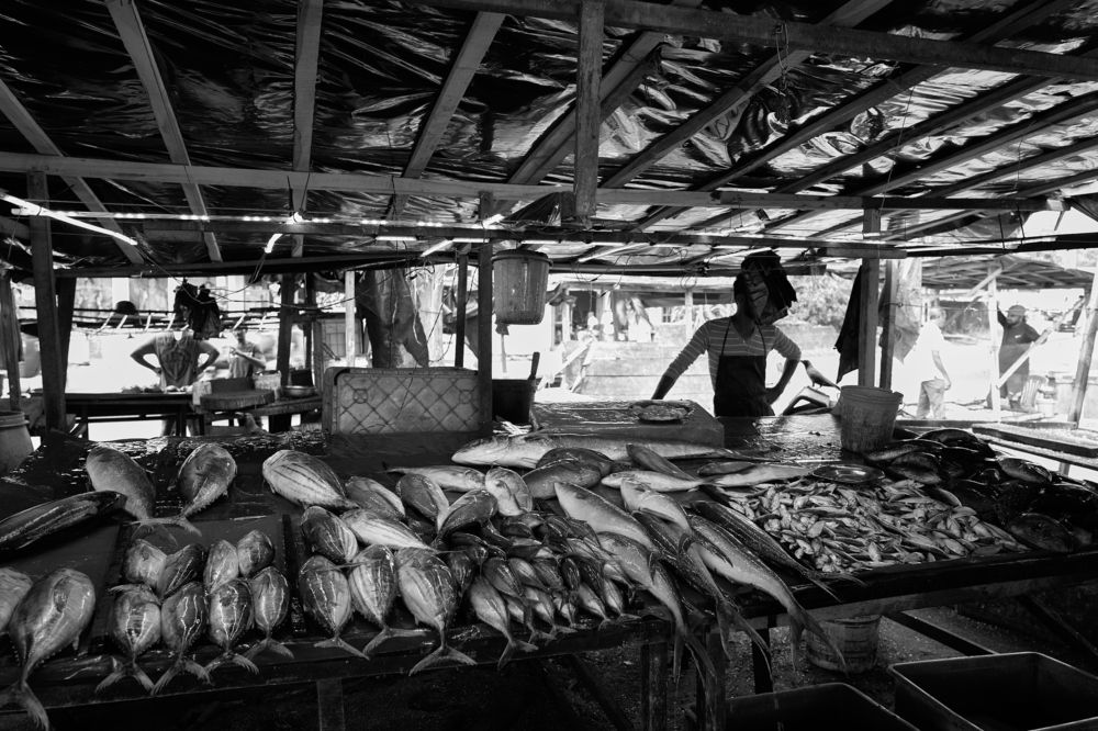 Photograph by Pouyan Safavi