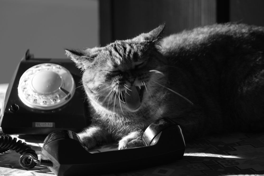Photograph by Яна Истоцкая