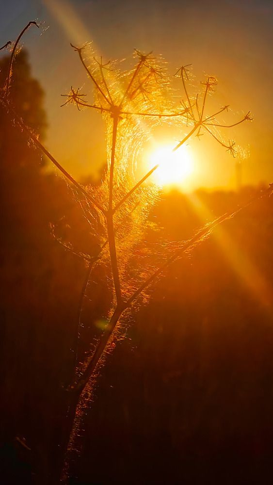 Photograph by Оксана Вадалагина