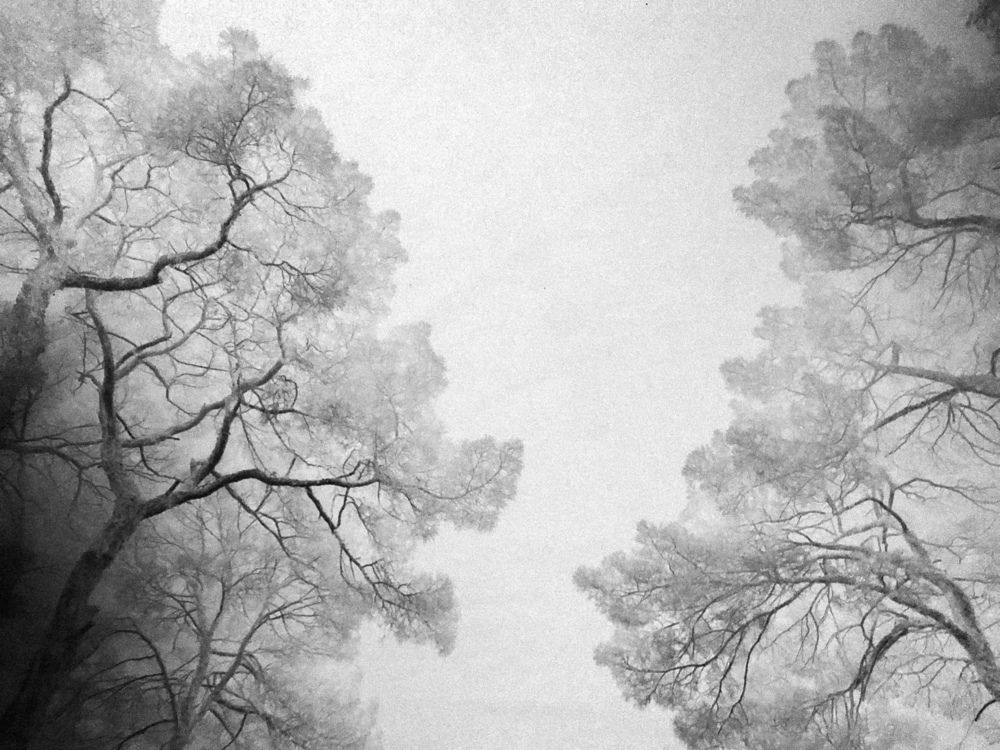 Photograph by Taha heydari