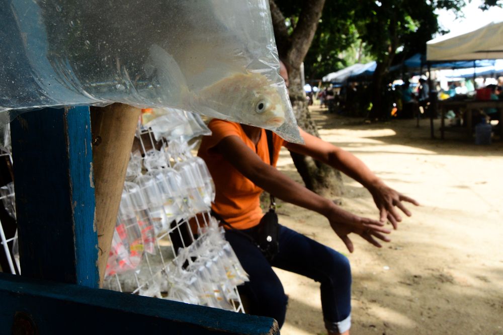 Photograph by Janus Marco L. Espartero