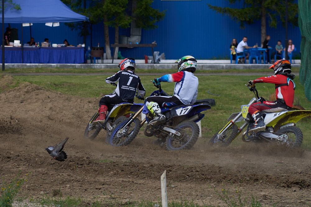 Photograph by Дмитрий Соколов