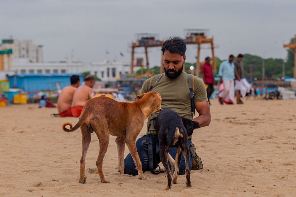 Photograph by Zinda Shaik Mohideen M