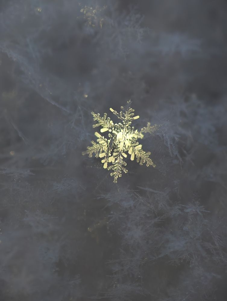 Photograph by Евгений Аксененко