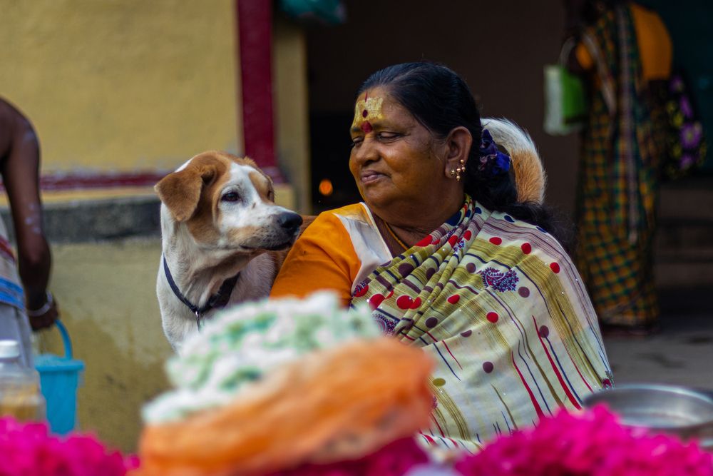 Photograph by Zinda Shaik Mohideen M