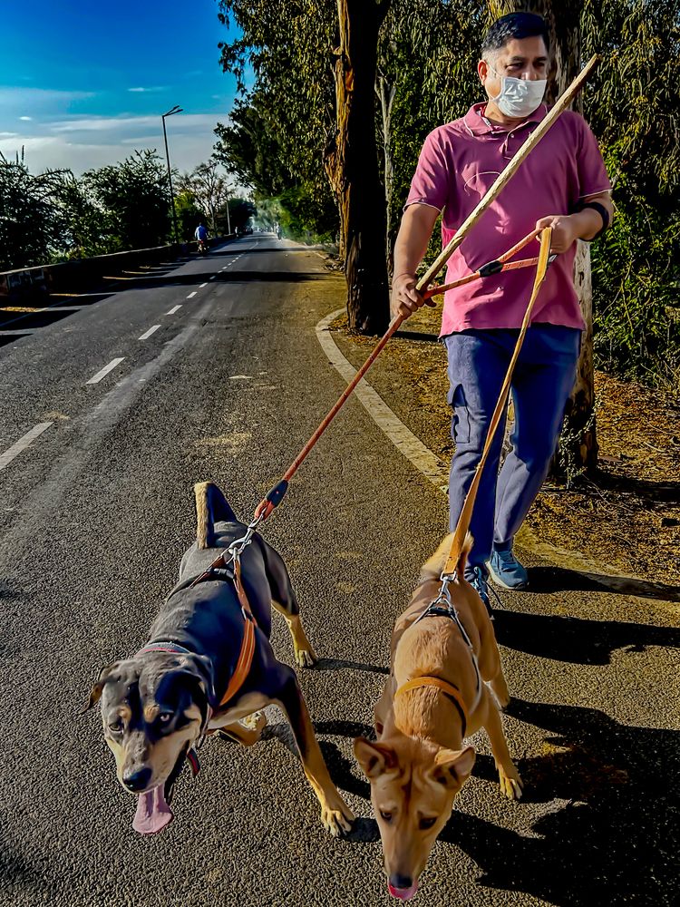 Фотография автора savitri Rawat