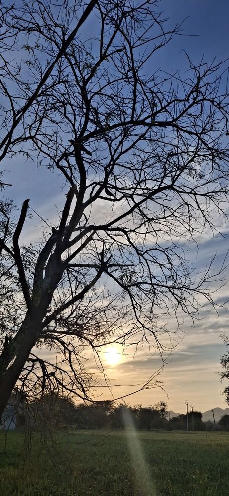 Photograph by Harshita Saini