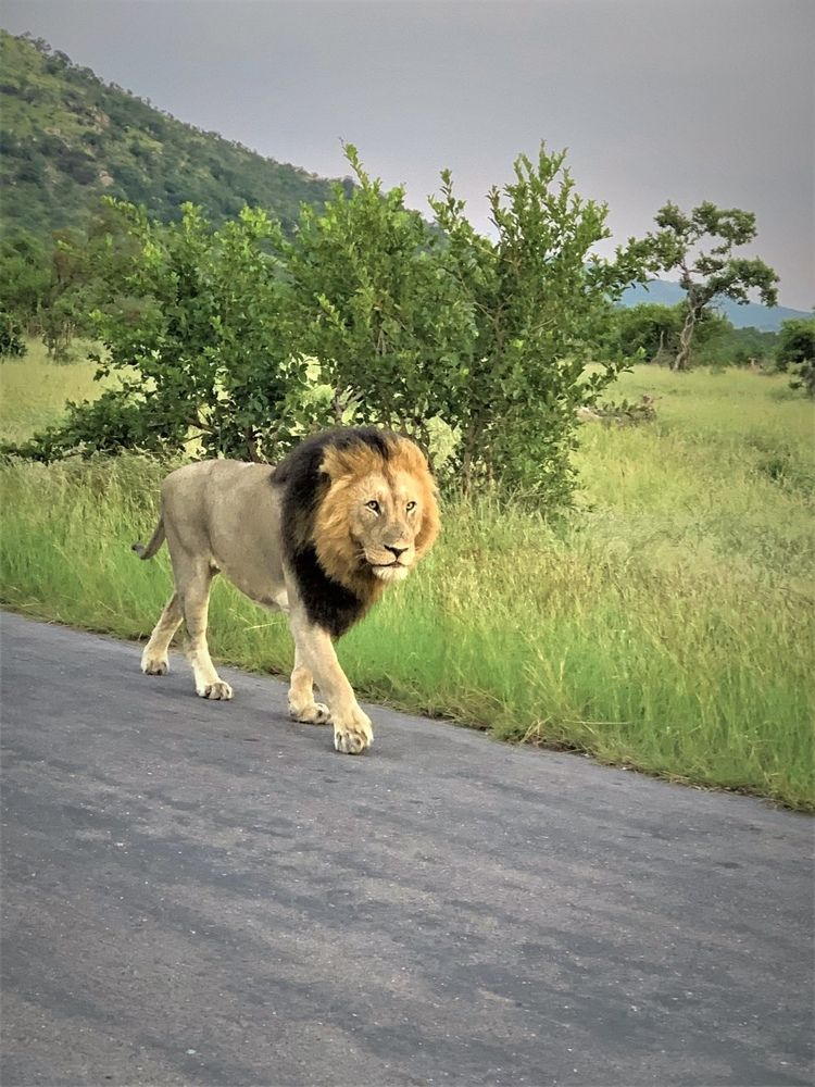 Photograph by Jennifer Cameron