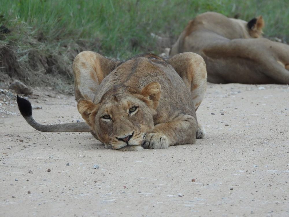 Photograph by Jennifer Cameron