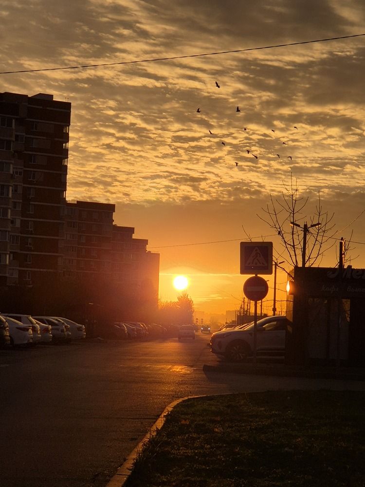 Photograph by Виктория Ткаченко