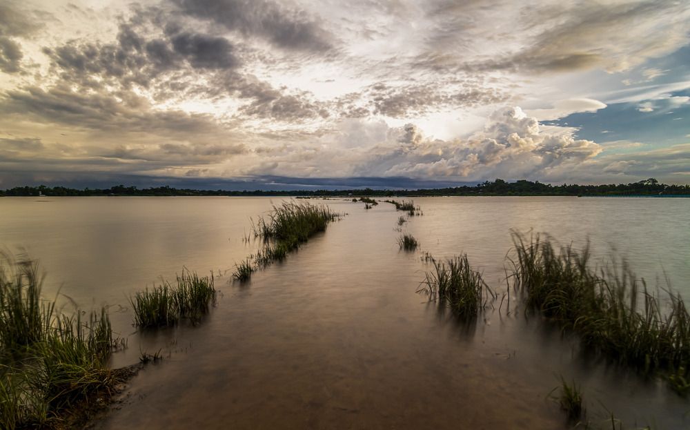 Photograph by SIMSON DAS