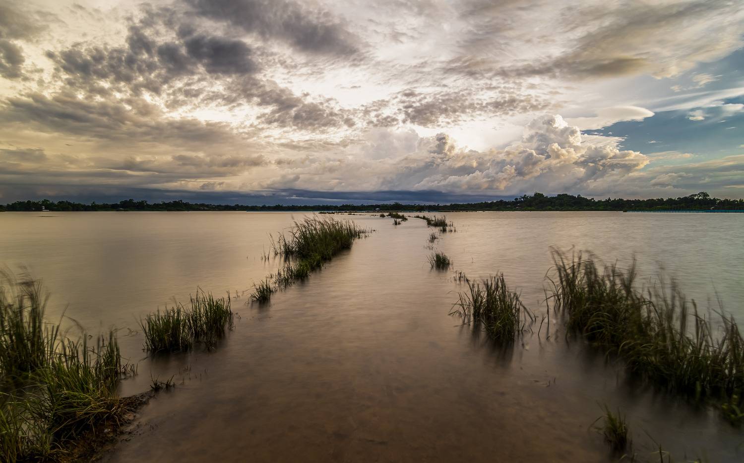 Фотография #13332833