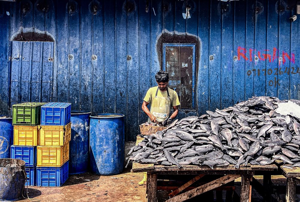 Photograph by Sanju Rangodage