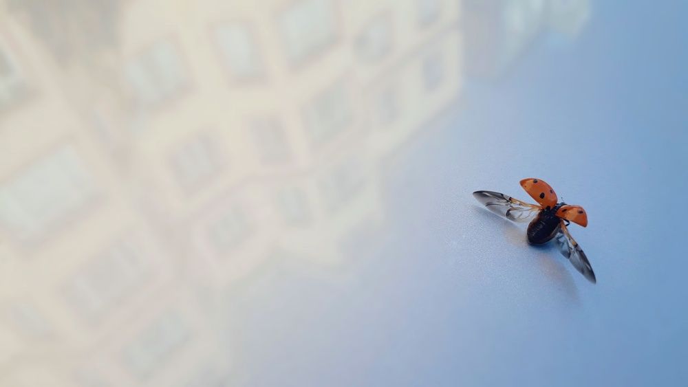 Photograph by Saidbakhovaddin