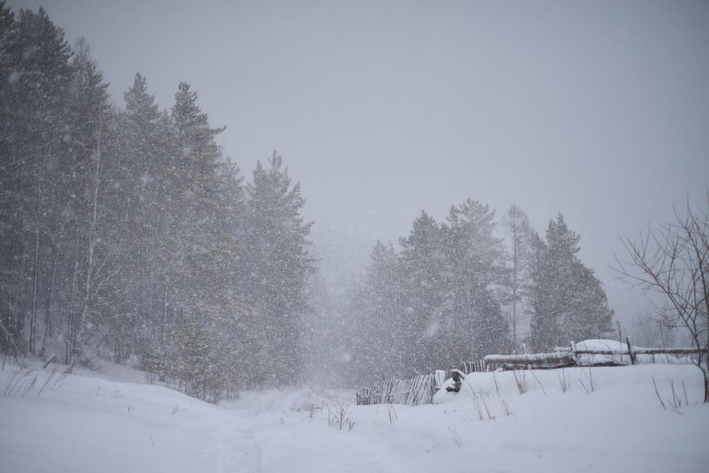 Photograph by Давыдов Павел