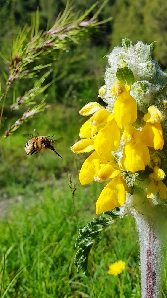 Photograph by Saidbakhovaddin